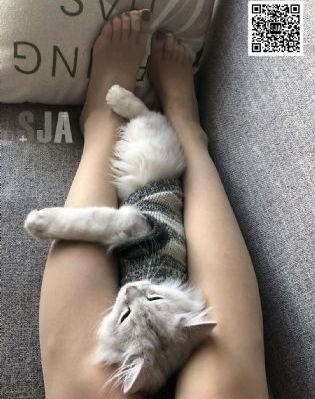 四虎凹凸国产二区三区_HD在线观看高清